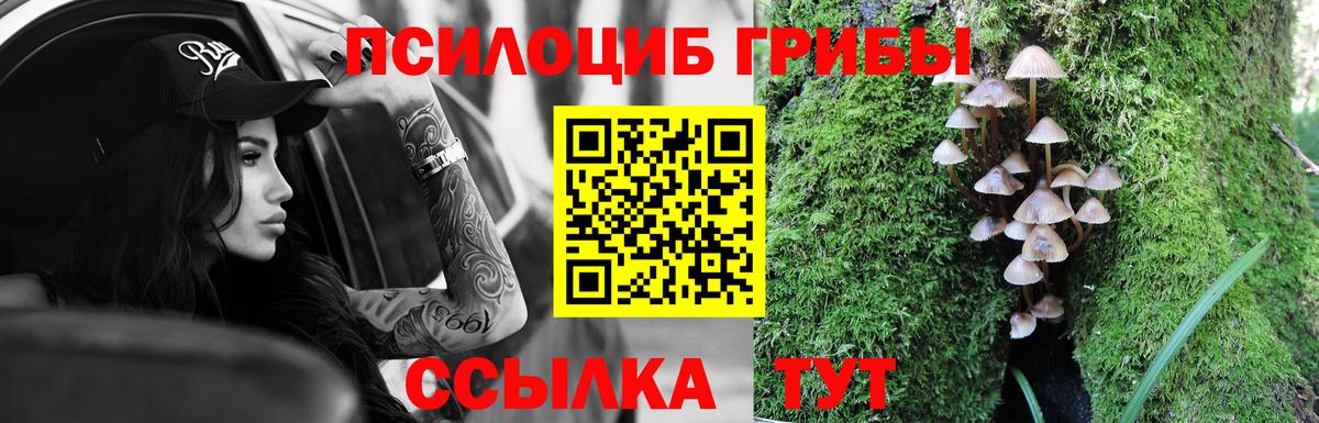 Галлюциногенные грибы Magic Shrooms  Псилоцибиновые грибы Magic Shrooms  Вход с VPN  Качканар 